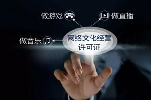網絡文化經營許可證與文網文證 定義、適用范圍與經營性互聯網服務的合規要點